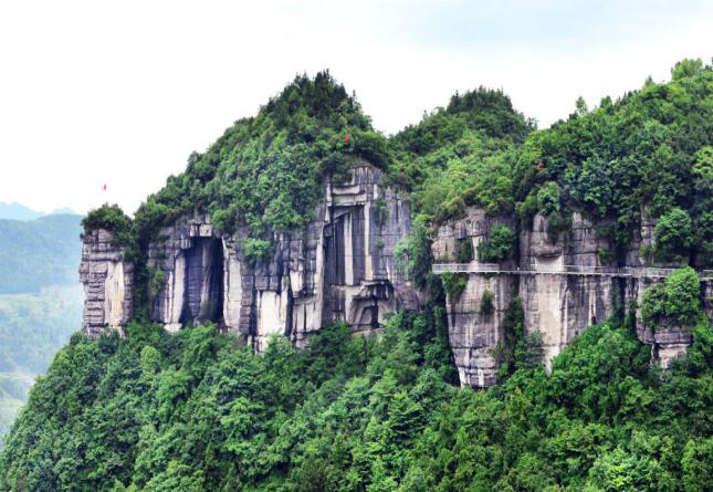 乡游黔中&#183; 绥阳县 大溪村丨早春来临，茶山已醒