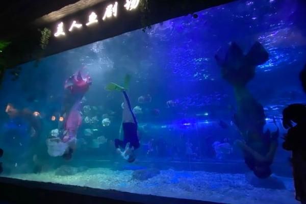 海口海之语海洋世界，精彩游玩体验推荐