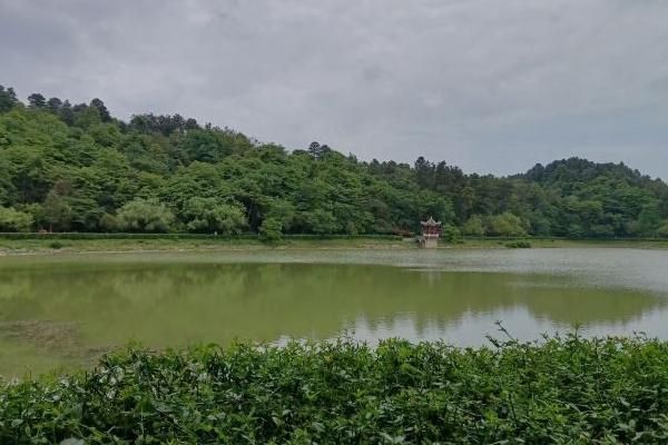 长坡岭森林公园一日游，休闲探险的好去处！