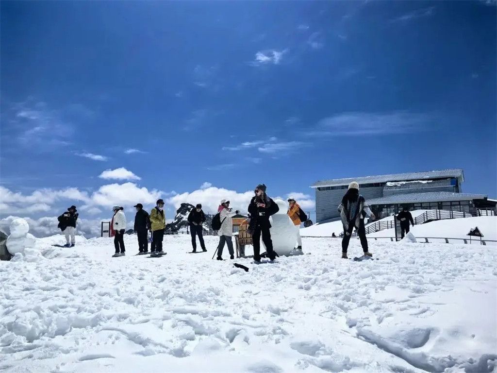 达古冰川的梦幻花海等待着你探索