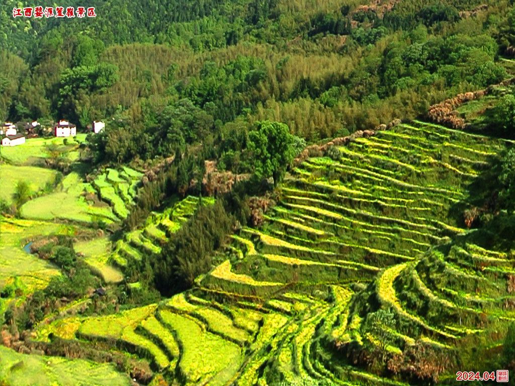 江西婺源篁岭春季旅游攻略 2024年4月17日