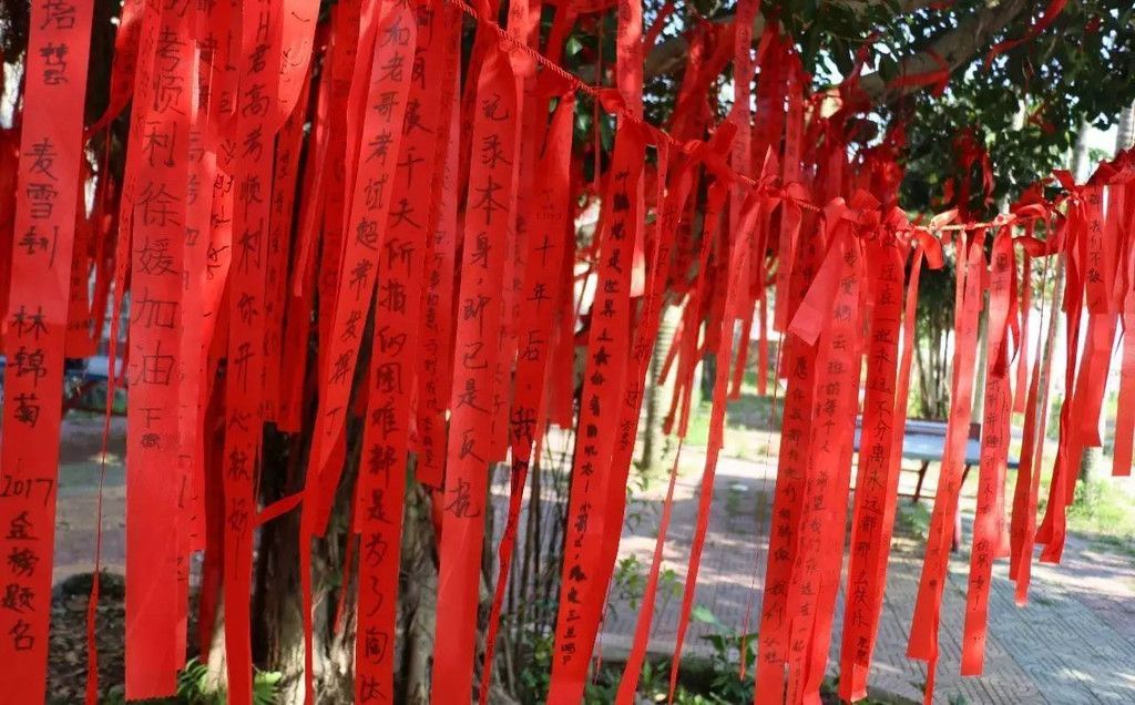 七夕情人节团队建设、户外乐活大本营，来挑战你的双人协作能力吧!